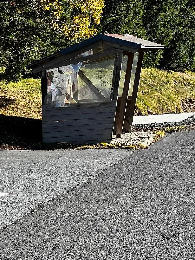 Les Pistes Vertes Le Lac Bleu Chez Lorenzo Et Severine Super Besse France